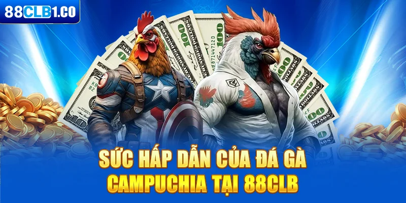 Sức hấp dẫn của chọi gà Campuchia tại 88CLB