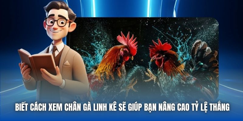 Biết cách xem chân gà linh kê sẽ giúp bạn nâng cao tỷ lệ thắng