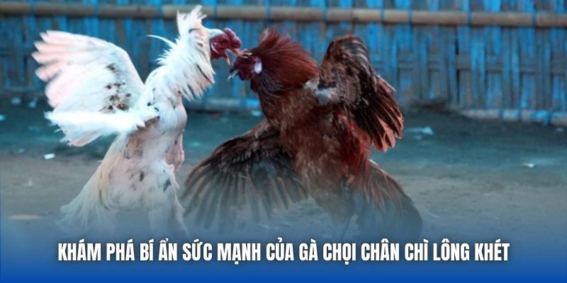 Khí chất áp đảo ngay từ ánh nhìn
