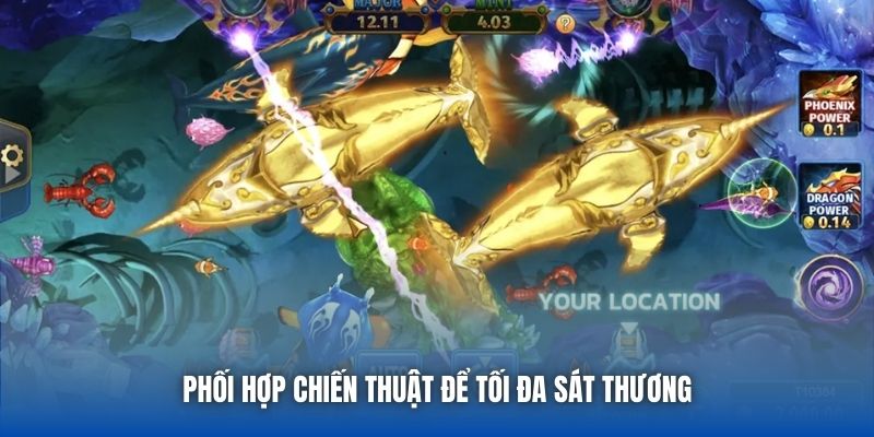 Phối hợp chiến thuật để tối đa sát thương