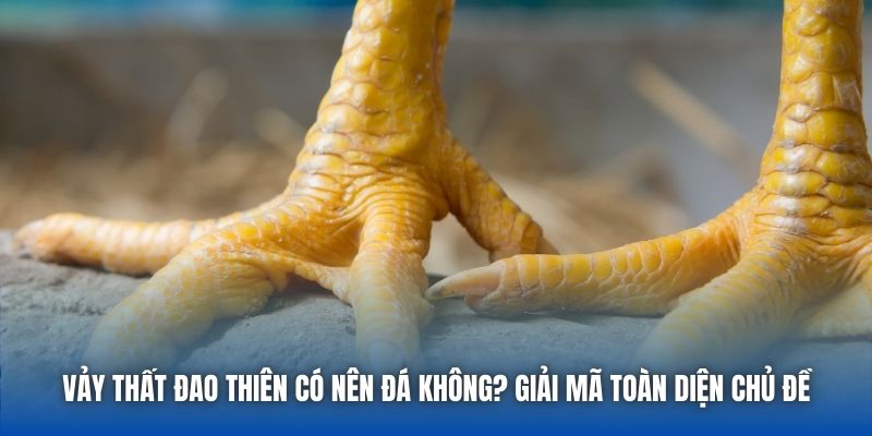 Vảy Thất Đao Thiên Có Nên Đá Không? Giải Mã Toàn Diện Chủ Đề