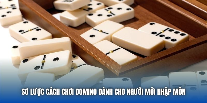 Sơ lược cách chơi Domino dành cho người mới nhập môn